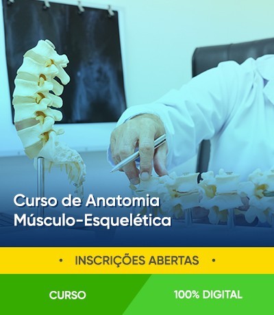 Curso de Anatomia Músculo-Esquelética