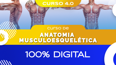 Curso de Anatomia Músculo-Esquelética