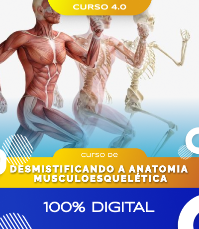 Desmistificando a Anatomia Musculoesquelética