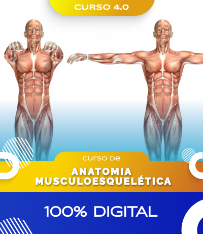 Curso de Anatomia Músculo-Esquelética